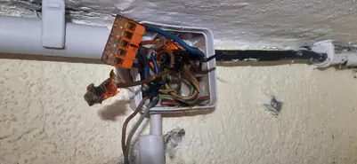 Reparatur Klemmdose in Baruth